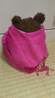 �z���C�g�f�[�A