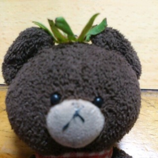 �W���b�L�[��