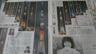 �X�J�C�c���[