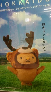 �L���������