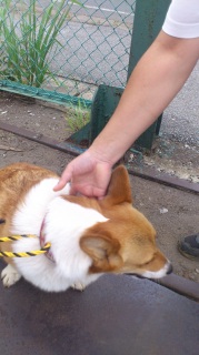 �������[��