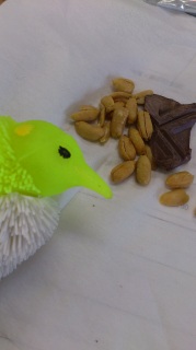 �����̂����