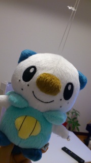 ����񂿂�񂿂�񂿂�񂿂��I�I