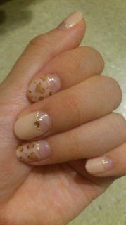 ���I�p�[�h