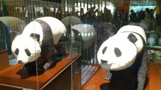 �`���R���[�g�W