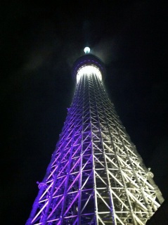 �X�J�C�c���[