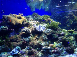 �]�m��������