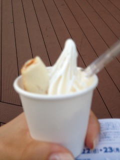 �\�t�g�N���[���O�����v��