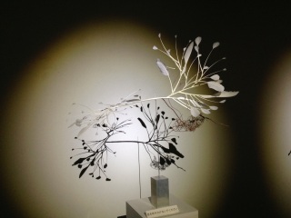 ���@�̔��p��