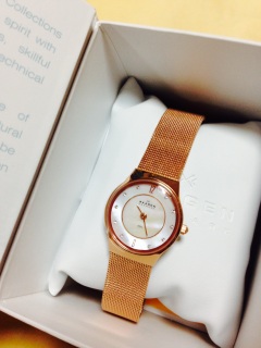 �v���[���g