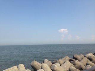 �S������