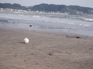 �E�~�w�\���w�L�P��