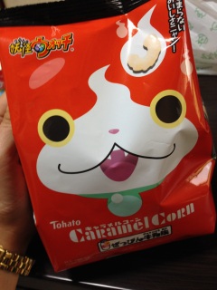 �L���������R�[��