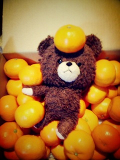 �݂���݂���݂���I