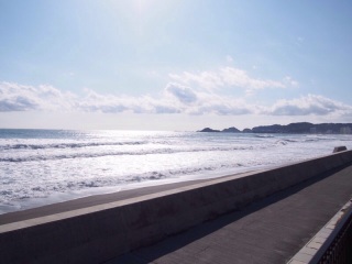 �y��������