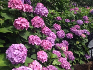 ���z�Ԃ܂�