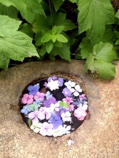 �X�g���X���܂肷����