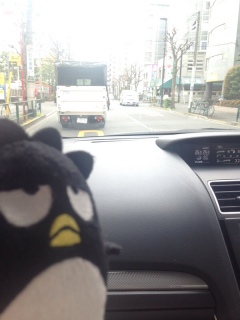 �L�x�ō��`�`�I�I�I