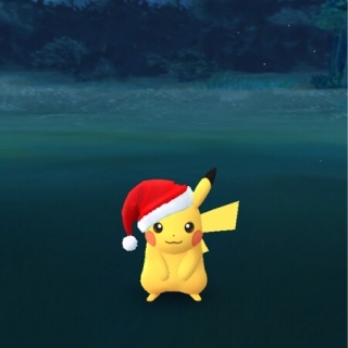 �������O��